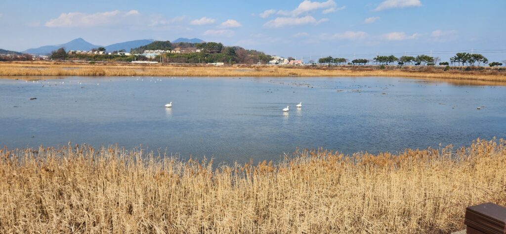 남해 봉천산책길-봉천산책길3