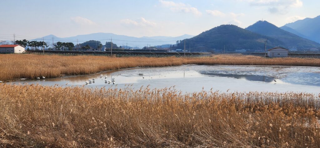 남해 봉천산책길-풍경4