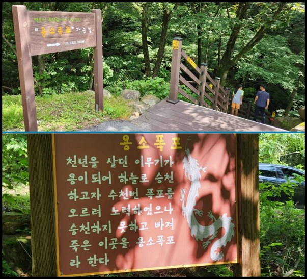 원주 백운산자연휴양림 예약방법 및 리얼후기, 아이들과 계곡물놀이 3