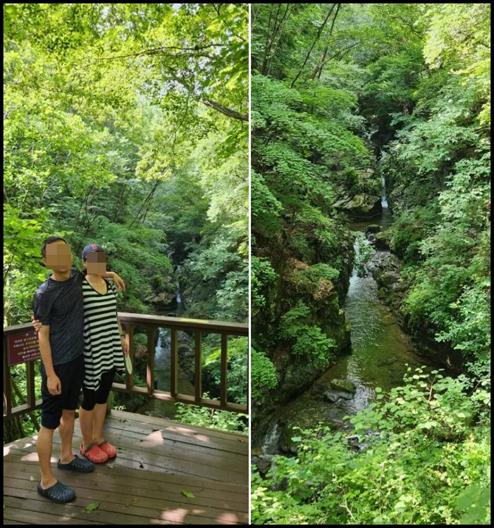 원주 백운산자연휴양림 예약방법 및 리얼후기, 아이들과 계곡물놀이 5