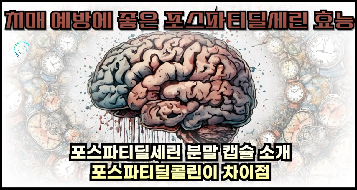 치매 예방에 좋은 포스파티딜세린 효능과 분말캡슐과 포스파티딜콜린이 차이점