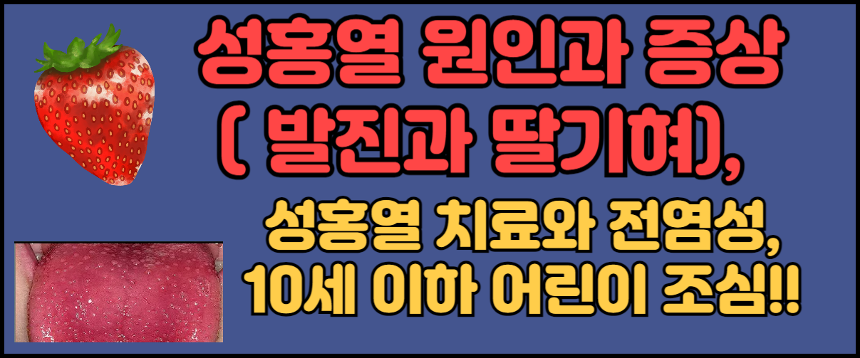 성홍열 원인과 증상과 전염성