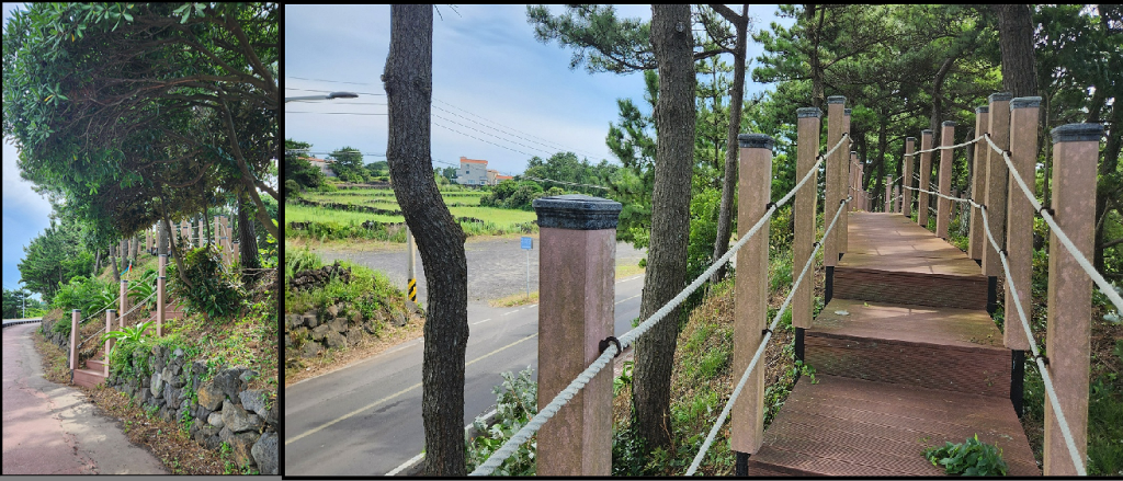 제주 동쪽 여행- 하도해수욕장, 진정한 제주도를 아이와 느낄 수 있는 구좌읍 해변 7