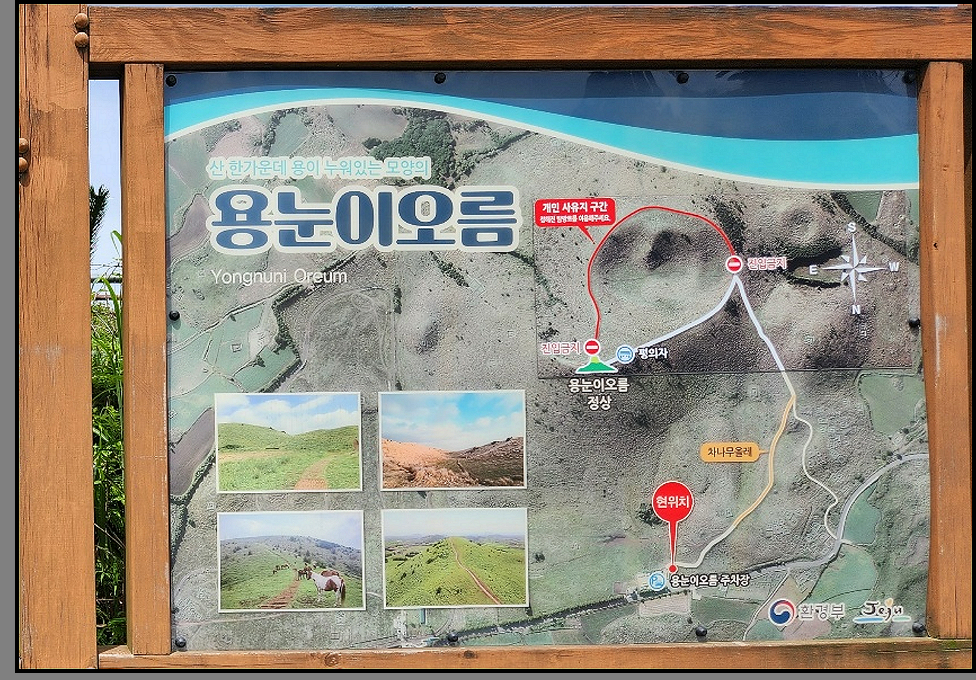 제주도 동쪽 오름 추천 용눈이오름-안내사진