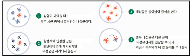 항생제 내성-그림-다제내성균전문병원 