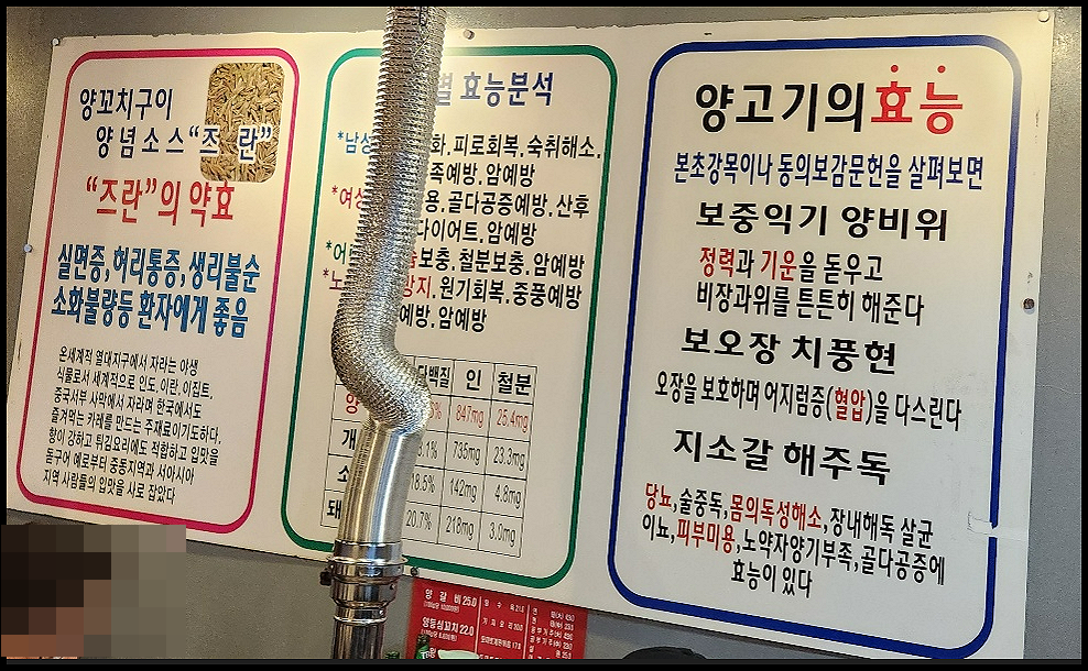 분당 서현역 맛집 <이가네양꼬치 서현점 > 쫄깃쫄깃 숯불 양고기와 칭따우 맥주와 환상 궁합 2