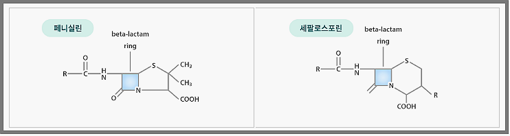 페니실린계-세팔로스포린-항생제-구조-그림-다제내성균전문은행