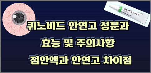 퀴노비드 안연고 성분과 효능 및 주의사항 & 점안액과 안연고 차이점