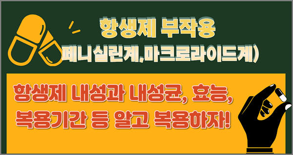 항생제 (페니실린계,마크로라이드계) 부작용과 내성과 내성균 , 효능, 복용기간 등 알고 복용하자!