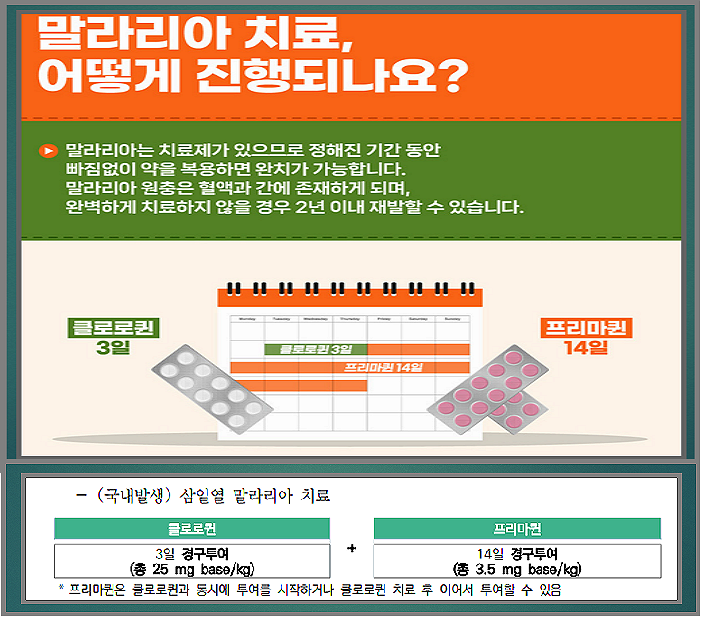 말라리아-치료-약-질병관리청