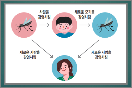 말라리아-모기매체-감염병-질병관리청