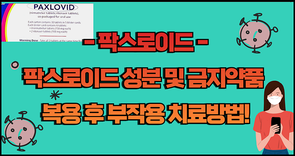 팍스로비드 성분 및 금지약품 그리고 복용 후 부작용 치료방법! 1