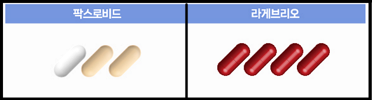 팍스로비드-라게브리오-약