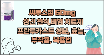 씨투스정 50mg