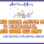 소비쿠폰, 재난지원금 35