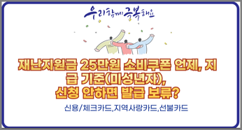 소비쿠폰, 재난지원금 35
