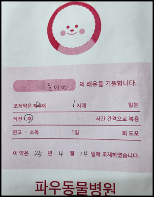 레오파트 게코 조제약 봉투