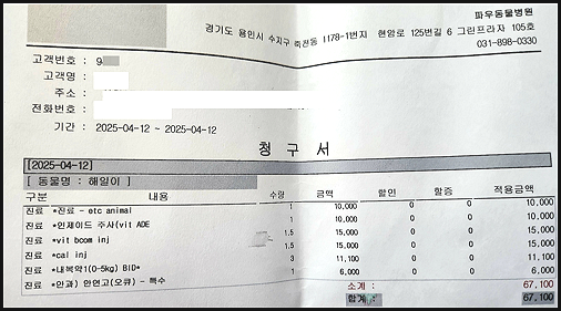 레오파드 게코 구내염, 그냥 두면 안 돼요! - 용인 파충류 특수 병원 진료 후기 1