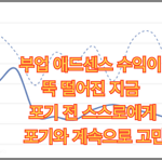 부업 애드센스 수익